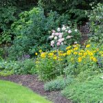 garden pic - 10 summer gardening tips ~ gardenmatter.com