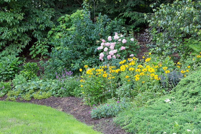 garden pic - 10 summer gardening tips 