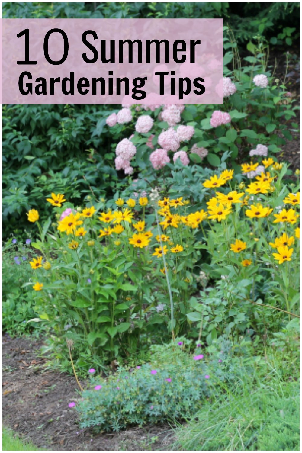 Flower garden with text overlay 10 summer gardening tips.