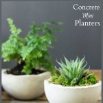 Concrete Mini Planters