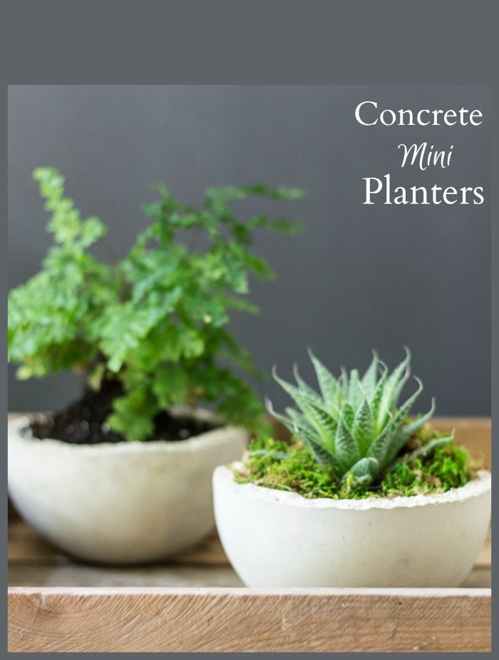 Concrete Mini Planters