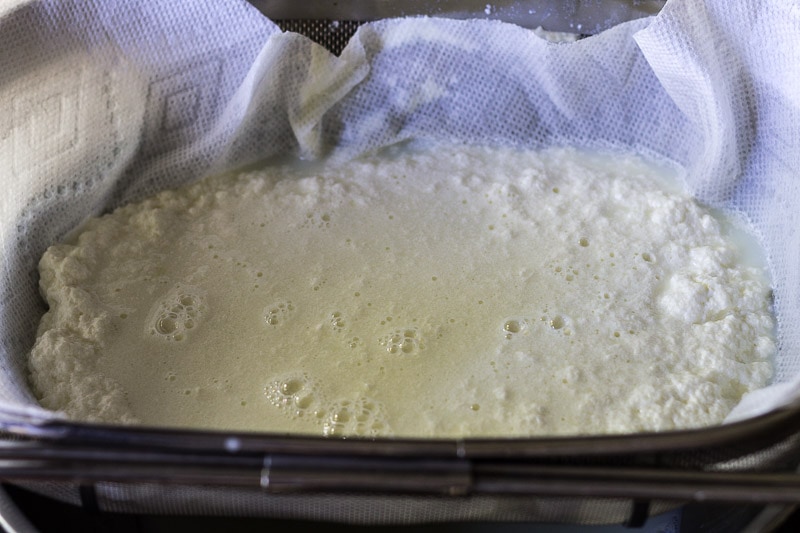 Homemade Ricotta Straining Curds from Whey