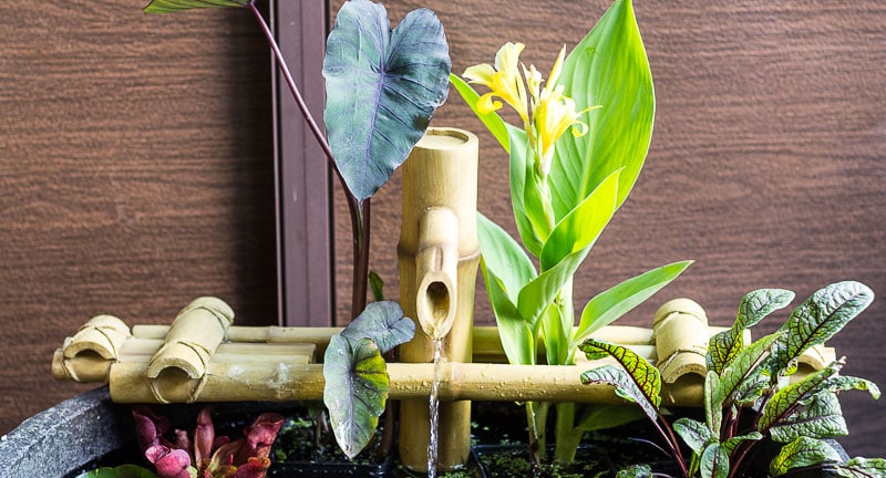 Patio Pond - Fountain