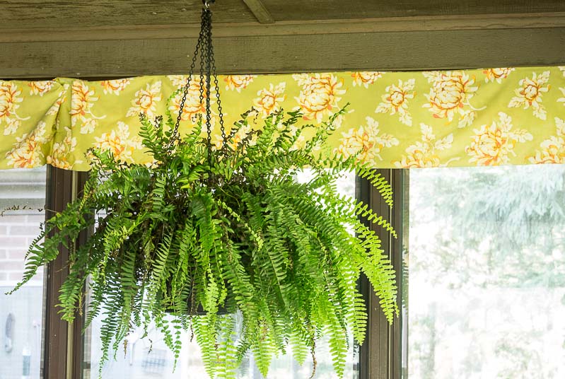 Porch Reveal - Fern and Valance
