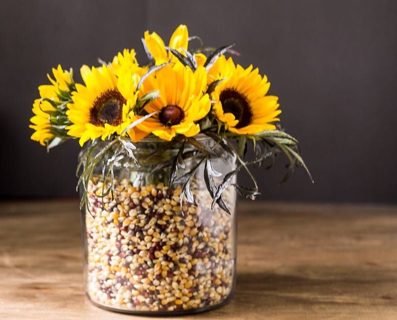 Apothecary jar with rainbow kernels and sunflowers.