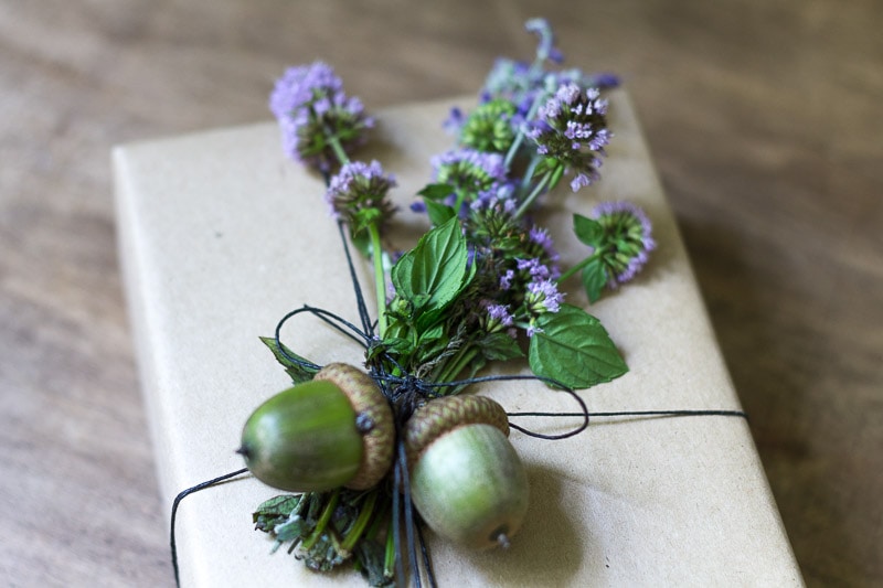 mint-and-acorns-on-package