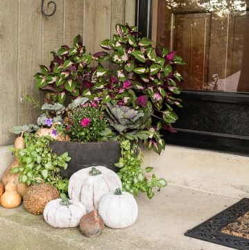 fall-planter-front-porch-view
