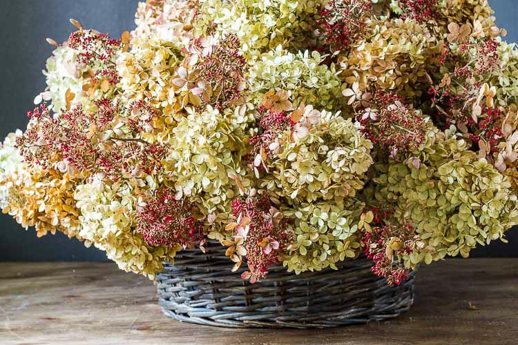 dried hydrangea basket