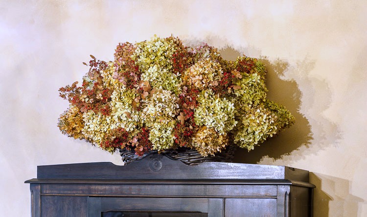 Dried hydrangea basket on cabinet