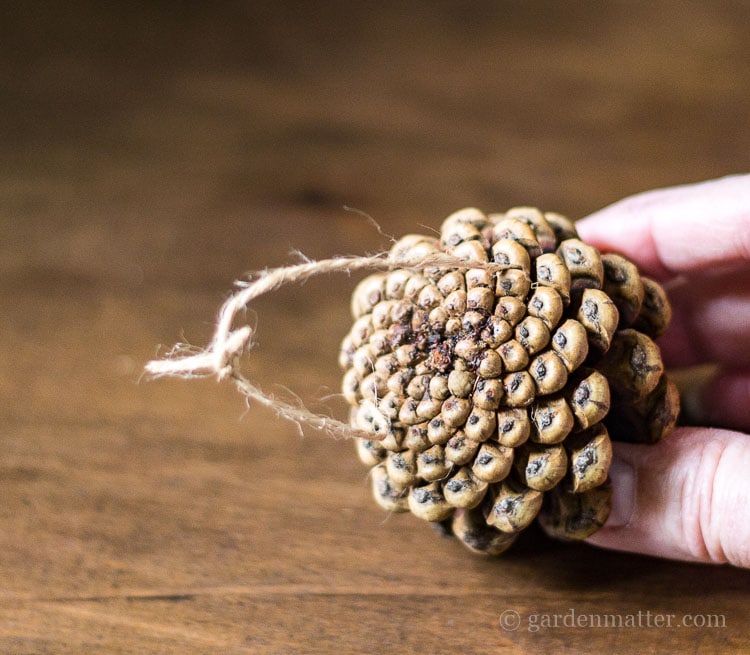 Woodland Tree Pine Cone Twine Hanger