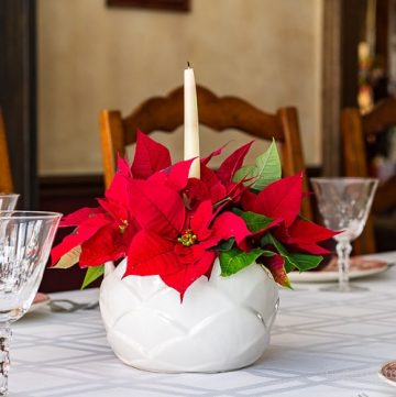 An easy centerpiece made with poinsettia flowers and a candle