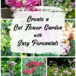 Group of perennial flowers that can be used to create bouquets and arrangements including peonies, yarrow, anemone, iris, lavender and Lady's mantle.