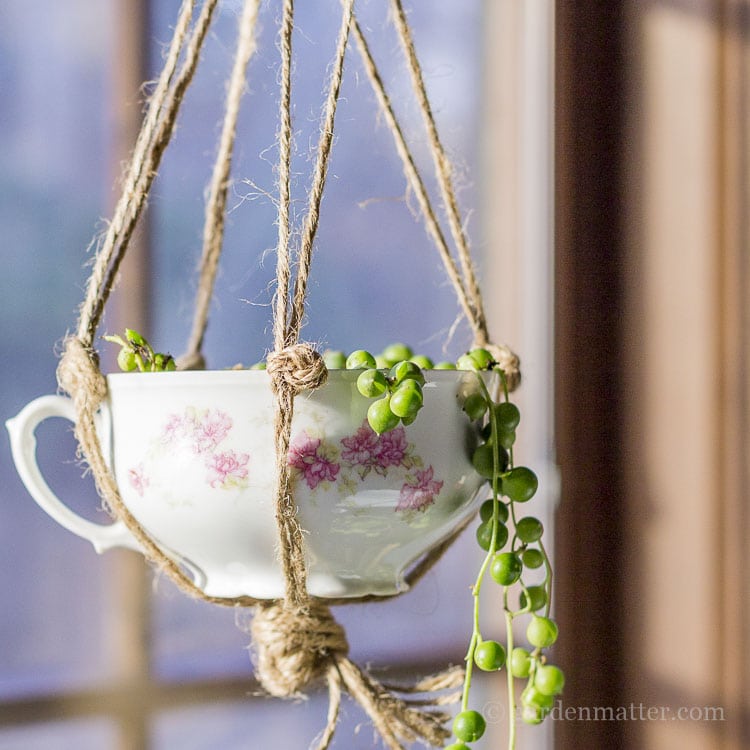 Hanging teacup planter with china and pearls