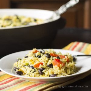 Southwest rice and black bean casserole with jalapeno peppers and Mexican cheese.