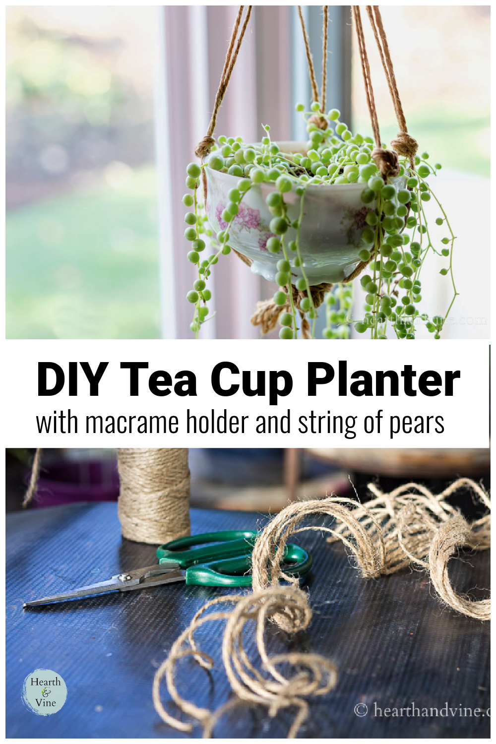 DIY Tea cup Planter and String of Pearls