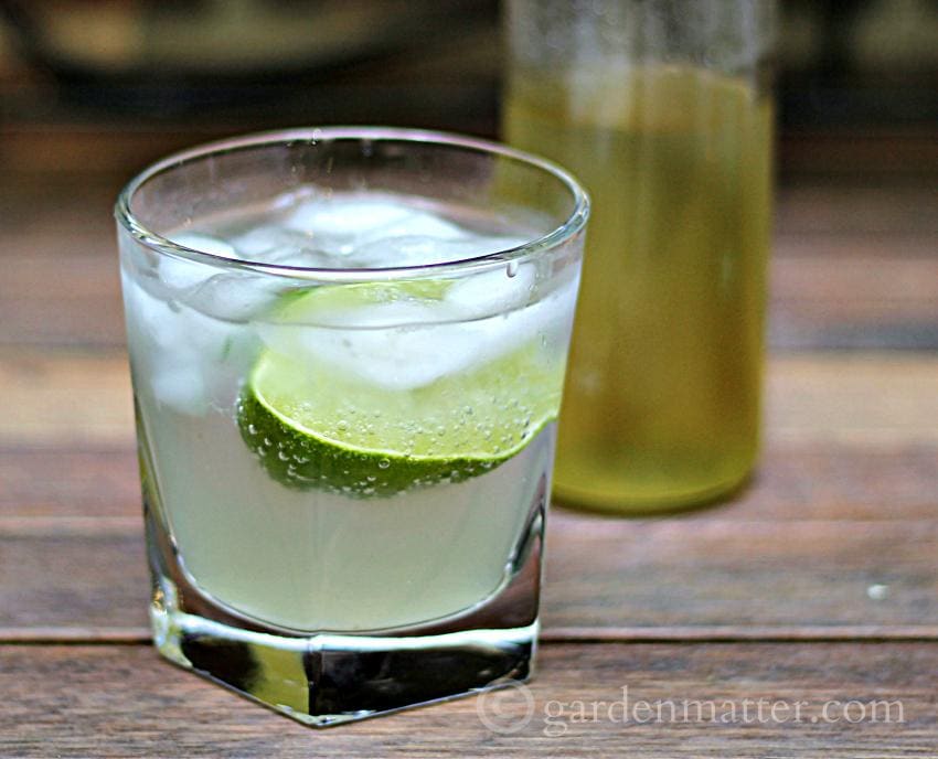 Skinny Moscow mule with lime wedge.