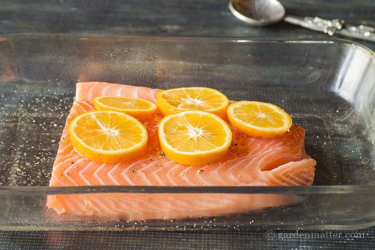 Baked salmon with sliced of Meyer lemon.