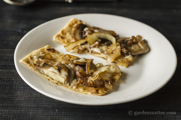 Mushroom and Caramelized Onion Flatbread with Fontina cheese.