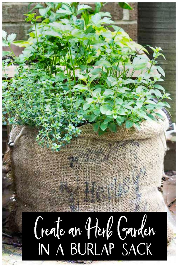 burlap herb garden