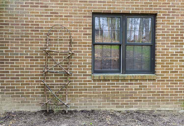 Garden trellis on back wall of house.