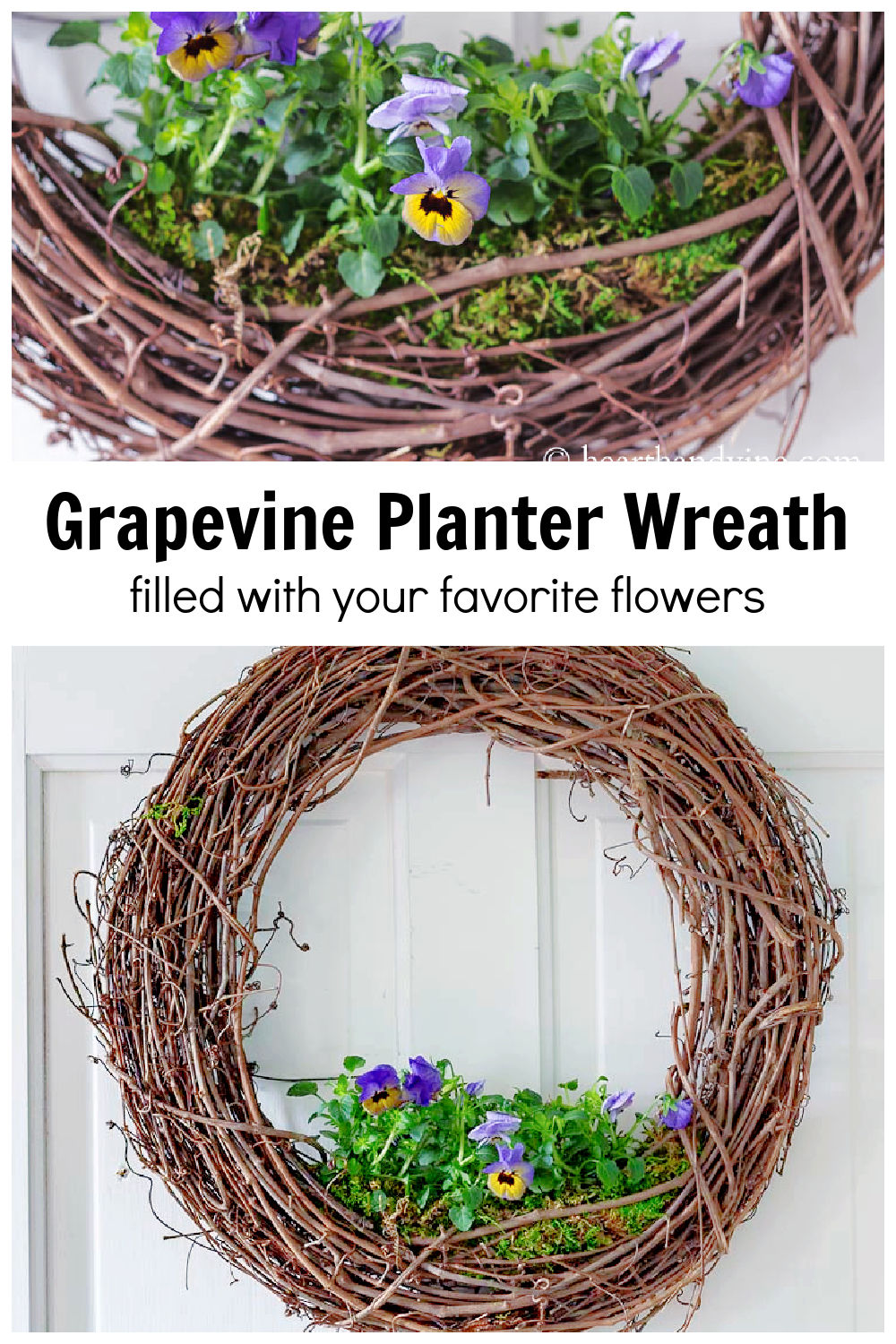 Living Floral Grapevine Wreath to Adorn Your Front Door for Spring