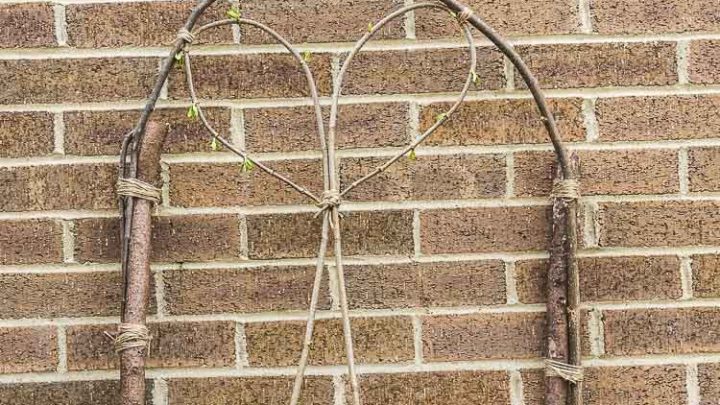 How To Make An Awesome Garden Trellis Almost For Free Hearth And Vine - Diy Garden Trellis Arch