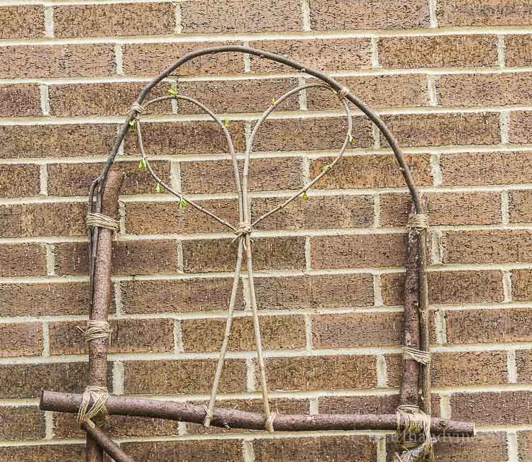 DIY garden trellis from branches in your backyard.