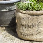 Herb garden in burlap sack on patio.