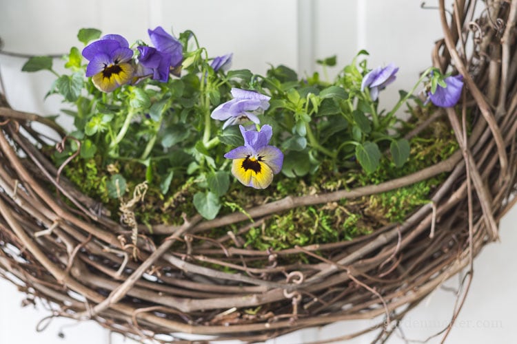 Close up of flowers in wreath on white door.