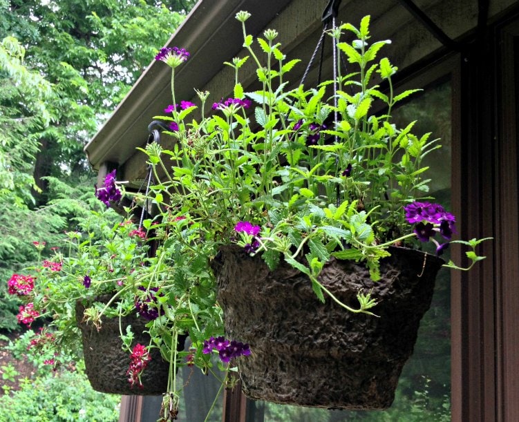 Tips for creating beautiful hanging flower containers.