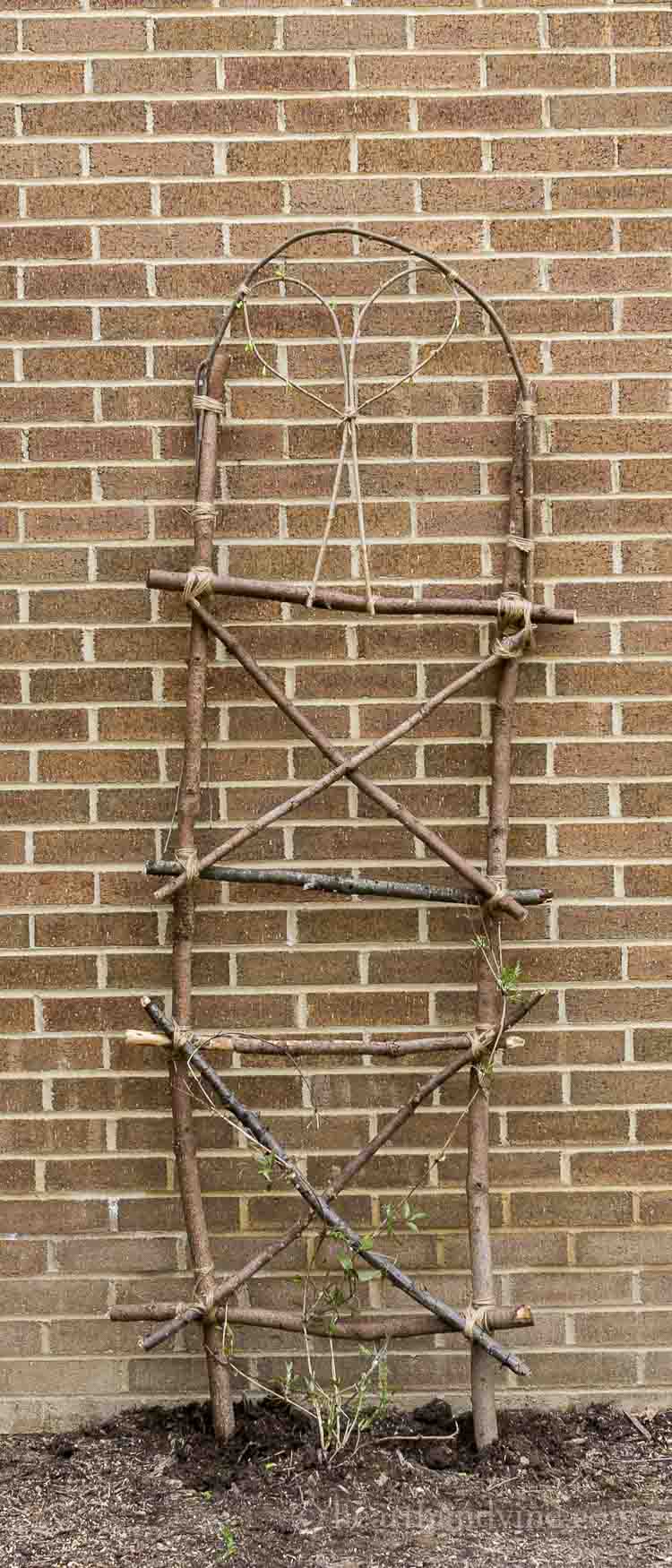 Make your own garden trellis from extra branches and twigs.