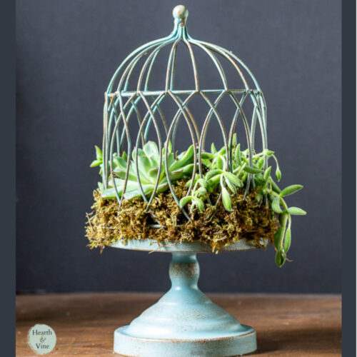 Birdcage succulent planter