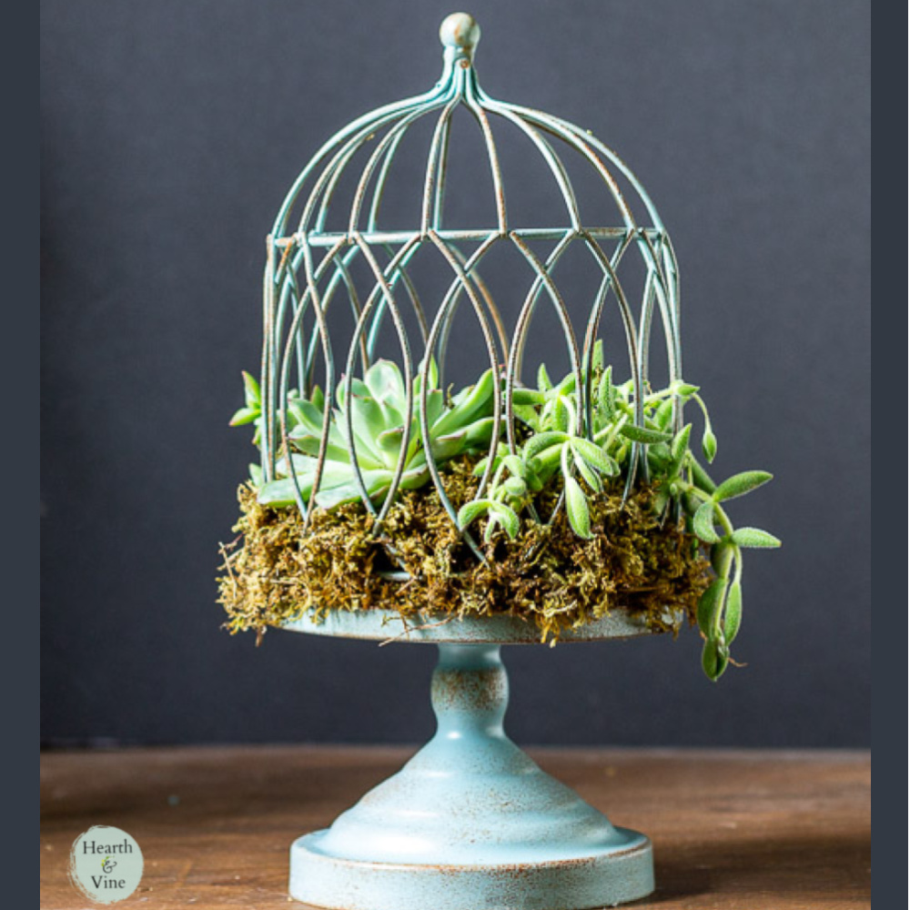 Rustic Metal Wall Bird Cage Planters  Hanging bird cage, Bird cage decor,  Vintage bird cage