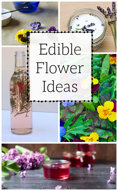 Collage of edible flower ideas including candied flowers, flower sugar, salad, and vinegar.