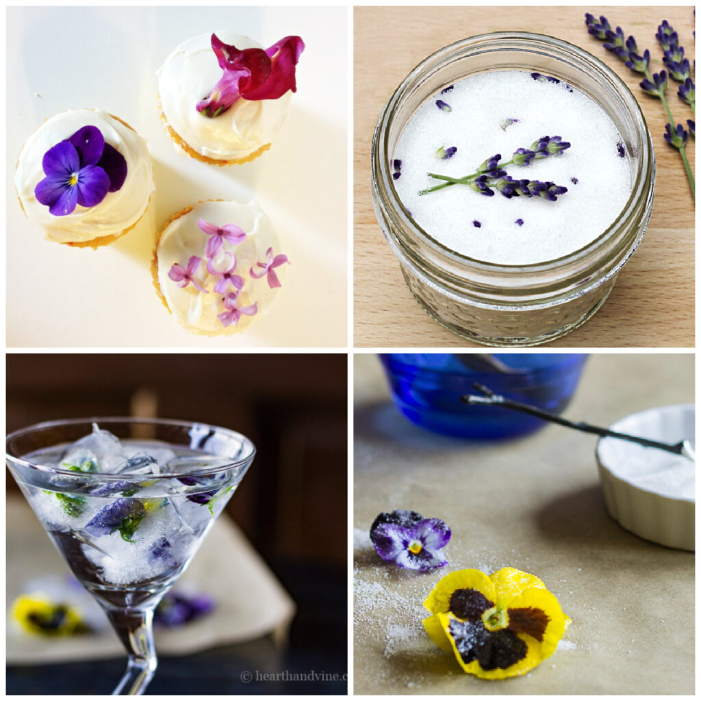 Edible flowers in sugar, on cupcake, in ice cubes and sugar coated.