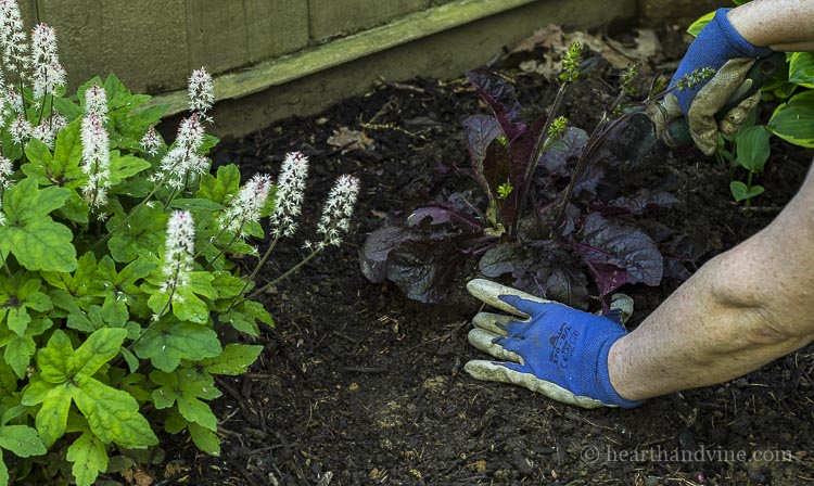 Mental health improved through gardening.