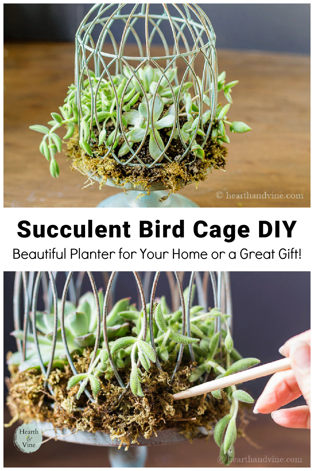 How to Make a Succulent Birdcage Planter Hearth and Vine