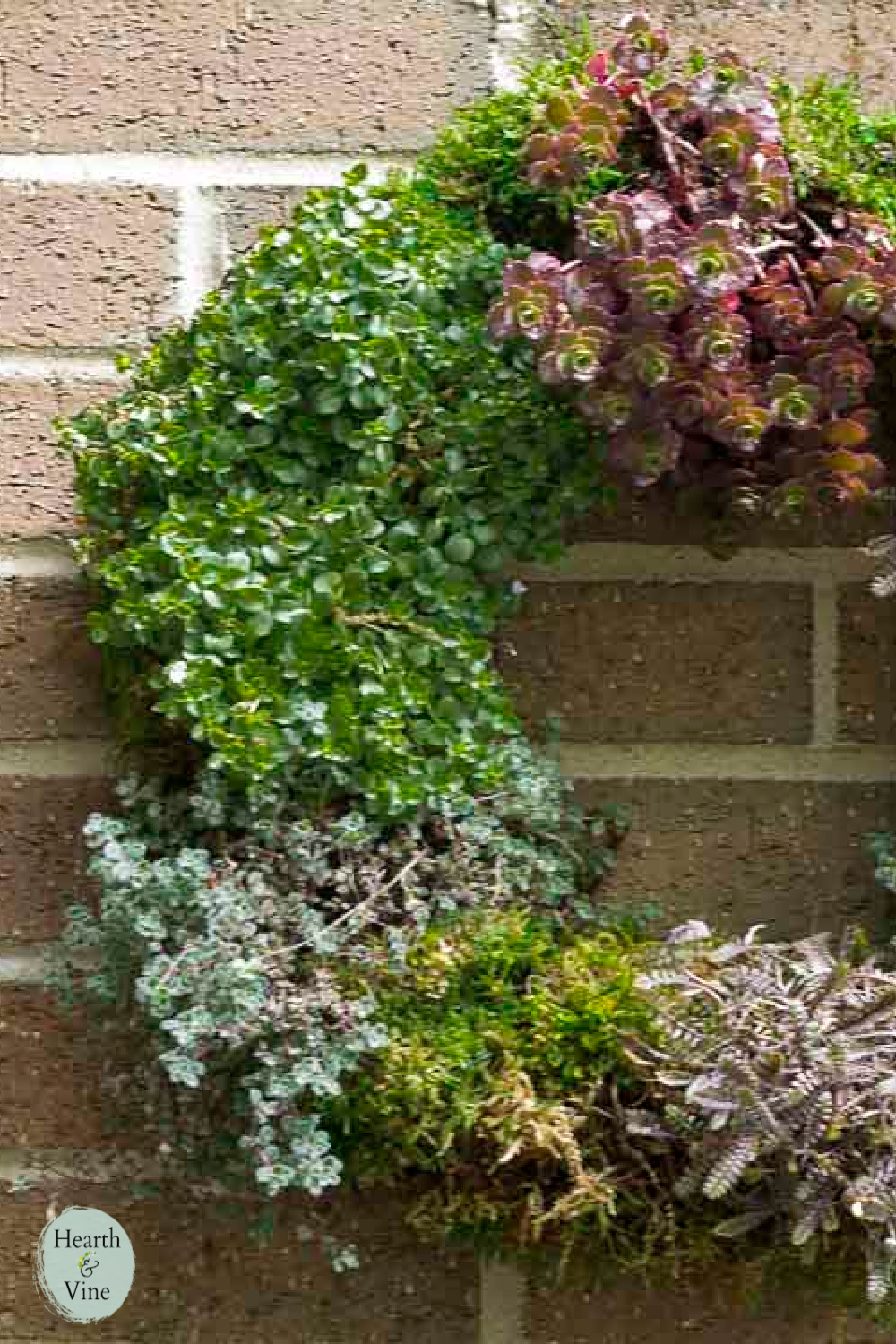 How To Make A Living Wreath