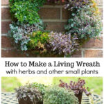 Living wreath over pots of plants, wire and pruners.