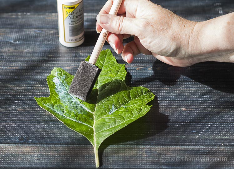 Brush one adhesive to front of leaves.