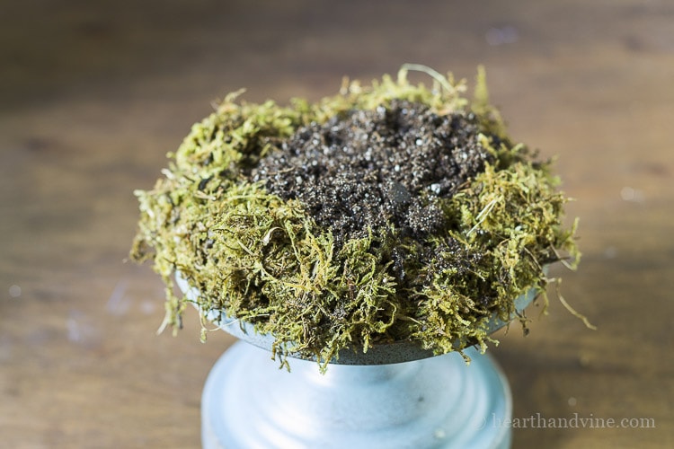 Place sphagnum moss on base and side and add soil.