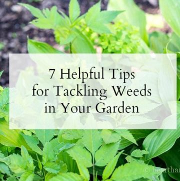 7 tips for tackling weeds in your garden.