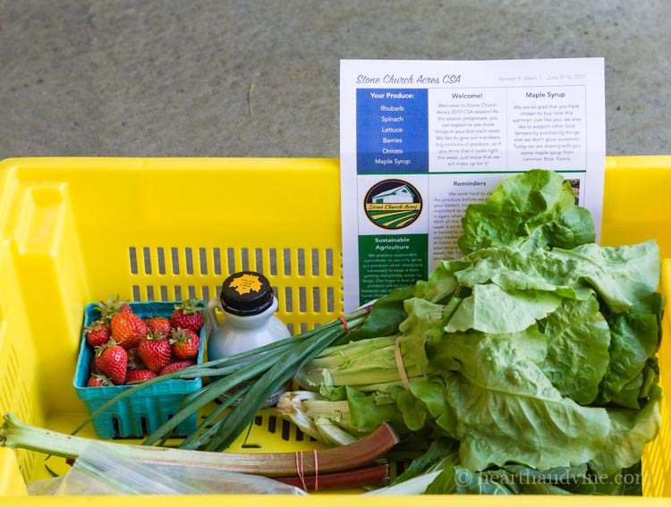 CSA basket of veggies, fruit and maple syrup