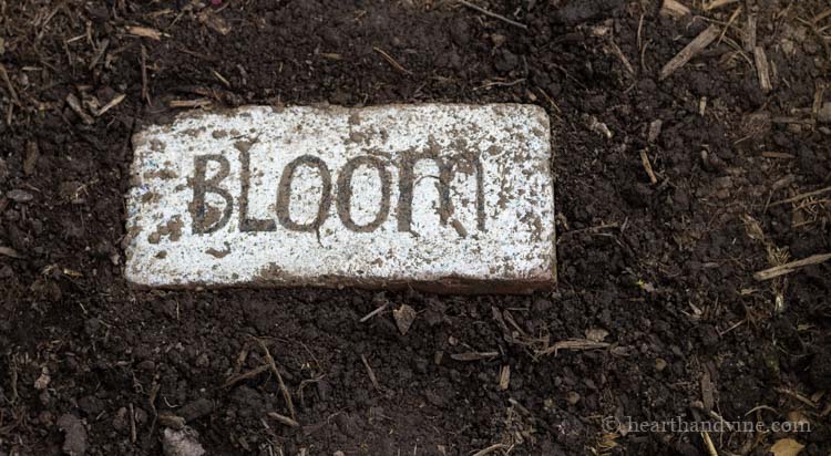 A brick garden path brick with the work Bloom in black on the brick surrounded by white paint.