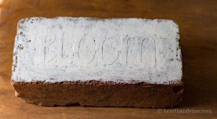 Brick with white paint on top of bloom.