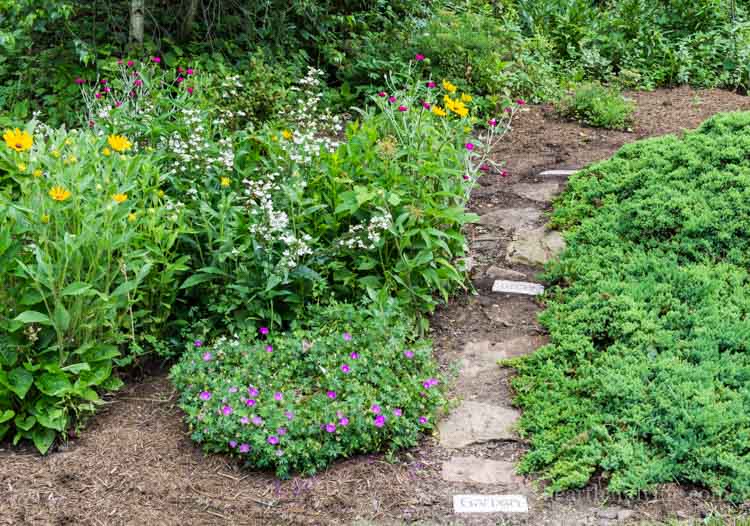 Garden path with brick word art bricks and stones.