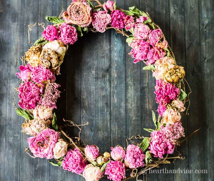 Dried peony wreath from garden flowers.