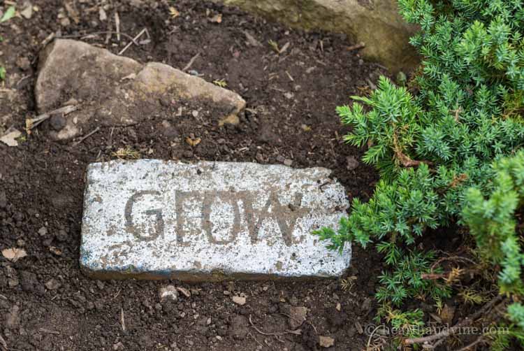 The word Grow with white paint on a brick in the garden path.