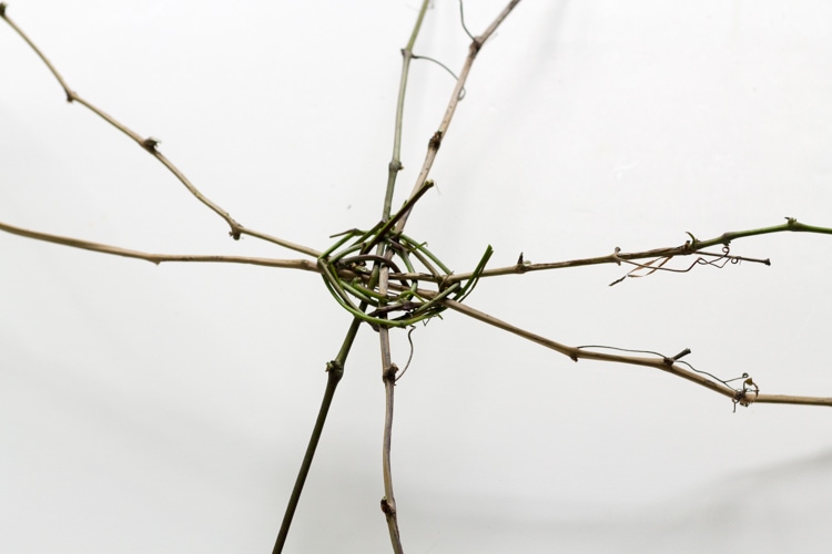 Weaving rustic grapevine basket.