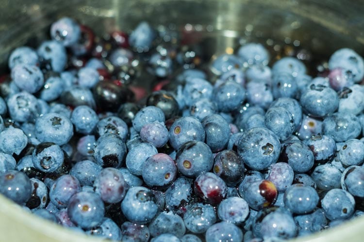 Fresh blueberries in saucepan.